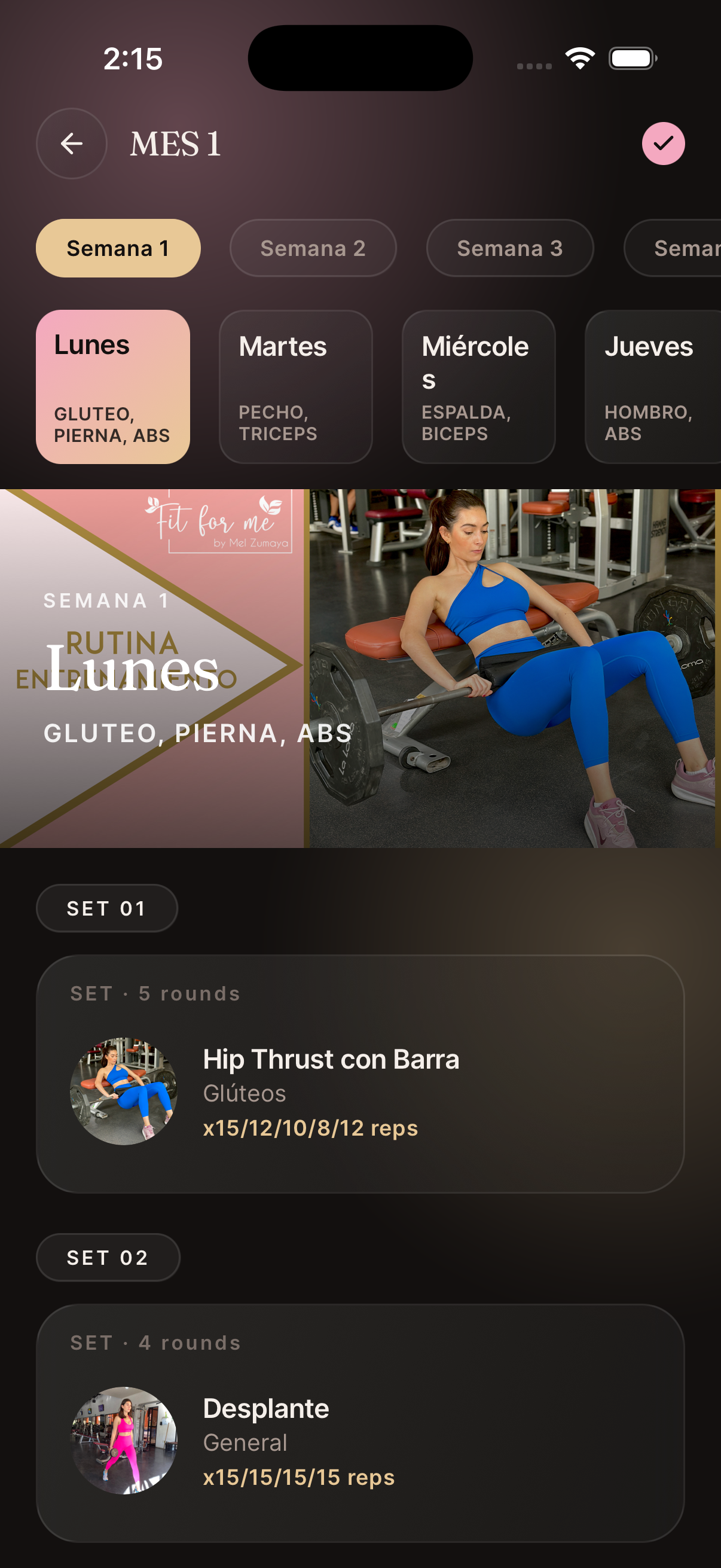 Programa FitForMe